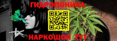гашишное масло Кингисепп