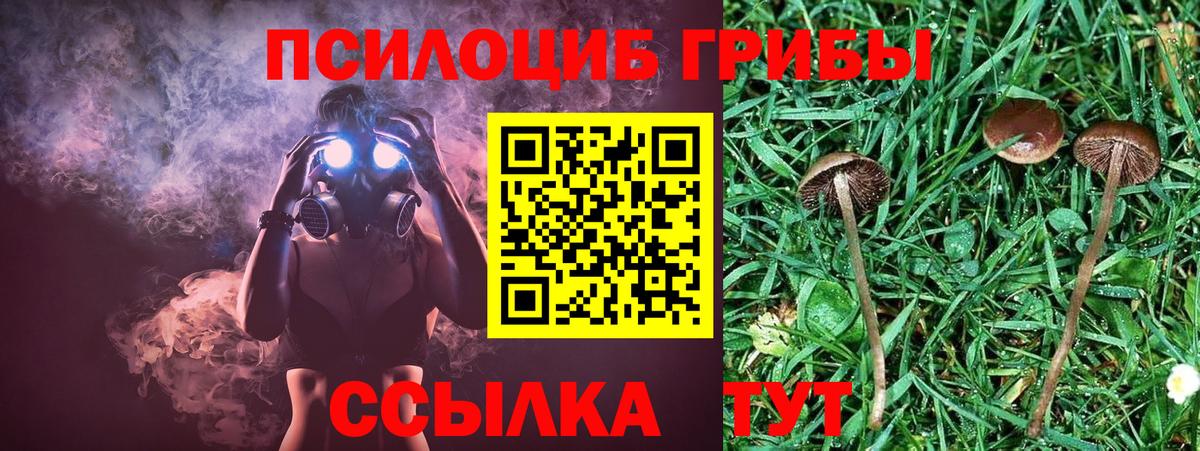 Ковров  Псилоцибиновые грибы GOLDEN TEACHER  Вход с VPN  Галлюциногенные грибы GOLDEN TEACHER 